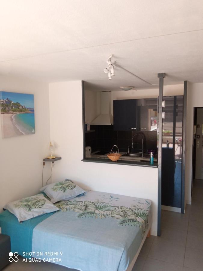 Residence Saint Clair - Studio Elena Agde Ngoại thất bức ảnh